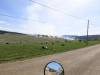 moto-djir-normandy-2017-moto-putovanje-moto-putopis-moto-adventure-445