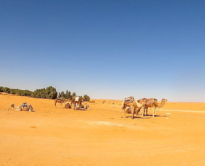 TUNISIA 2023